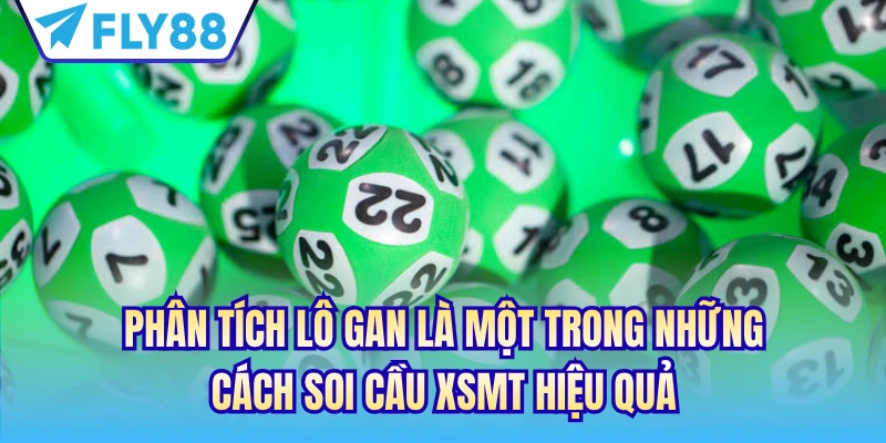 Phân tích lô gan là một trong những cách soi cầu XSMT hiệu quả